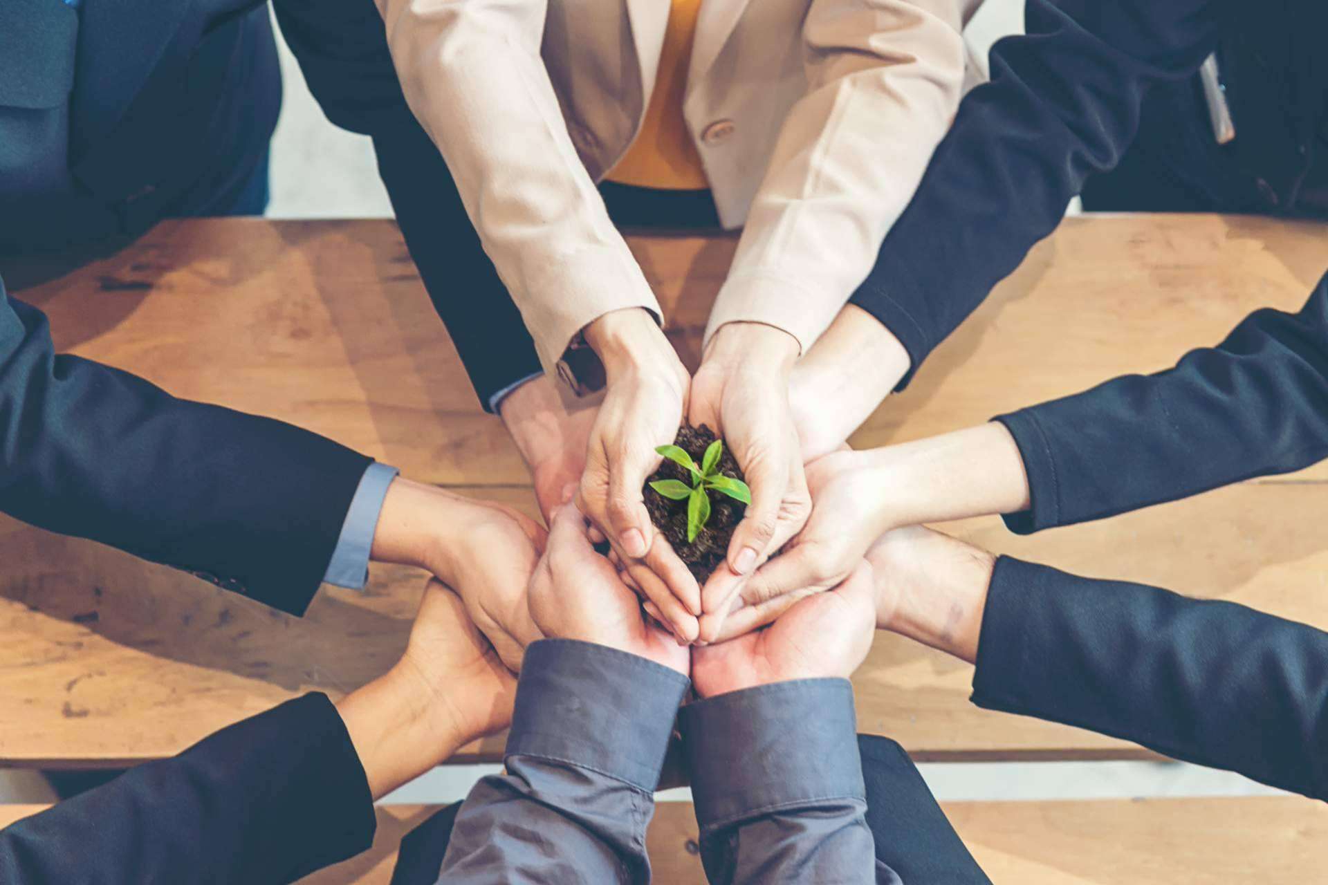 Las ventajas de tener responsabilidad ambiental empresarial, según Ipostar