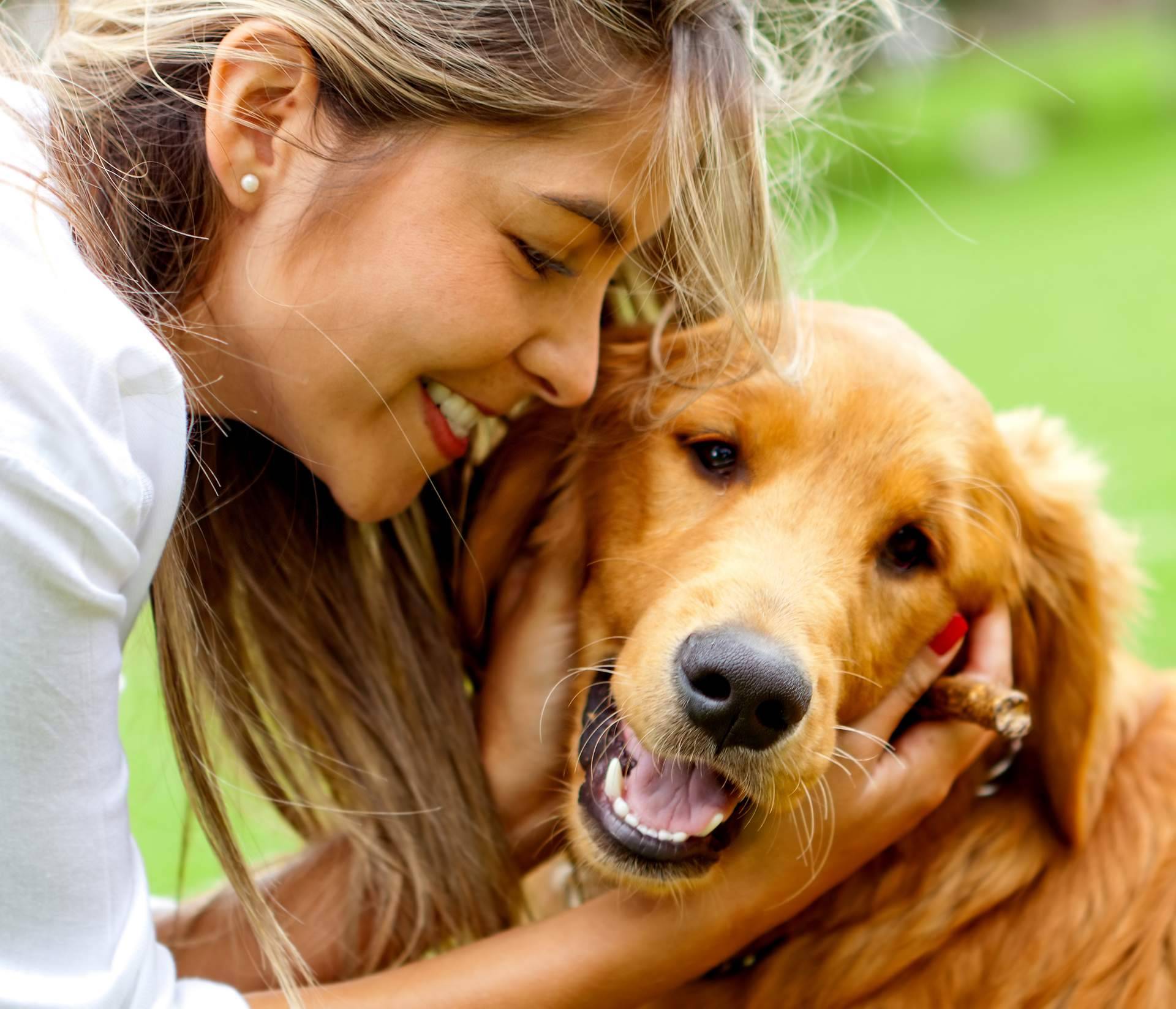 ¿Qué implica regalar una mascota?