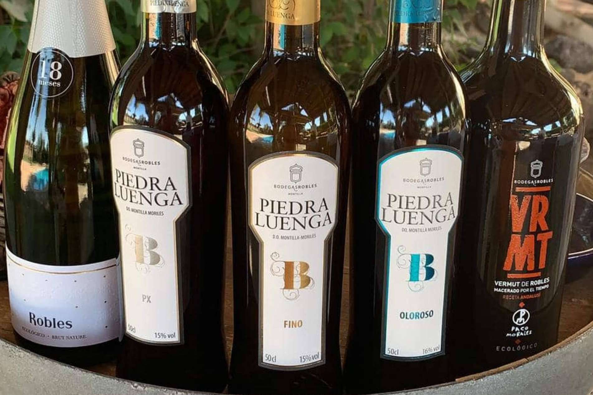 Bodegas Robles, el origen del vino ecológico