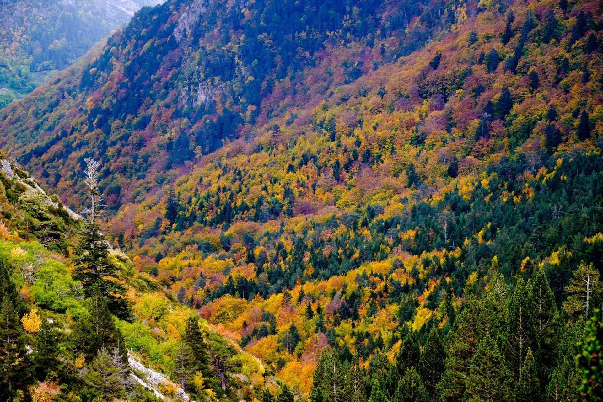 Otoño en el Camping Repòs del Pedraforca