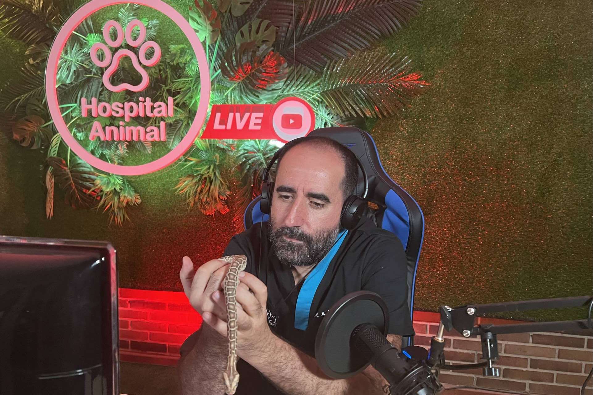 Por TeleMadrid, es posible ver la serie Hospital Animal todas las semanas