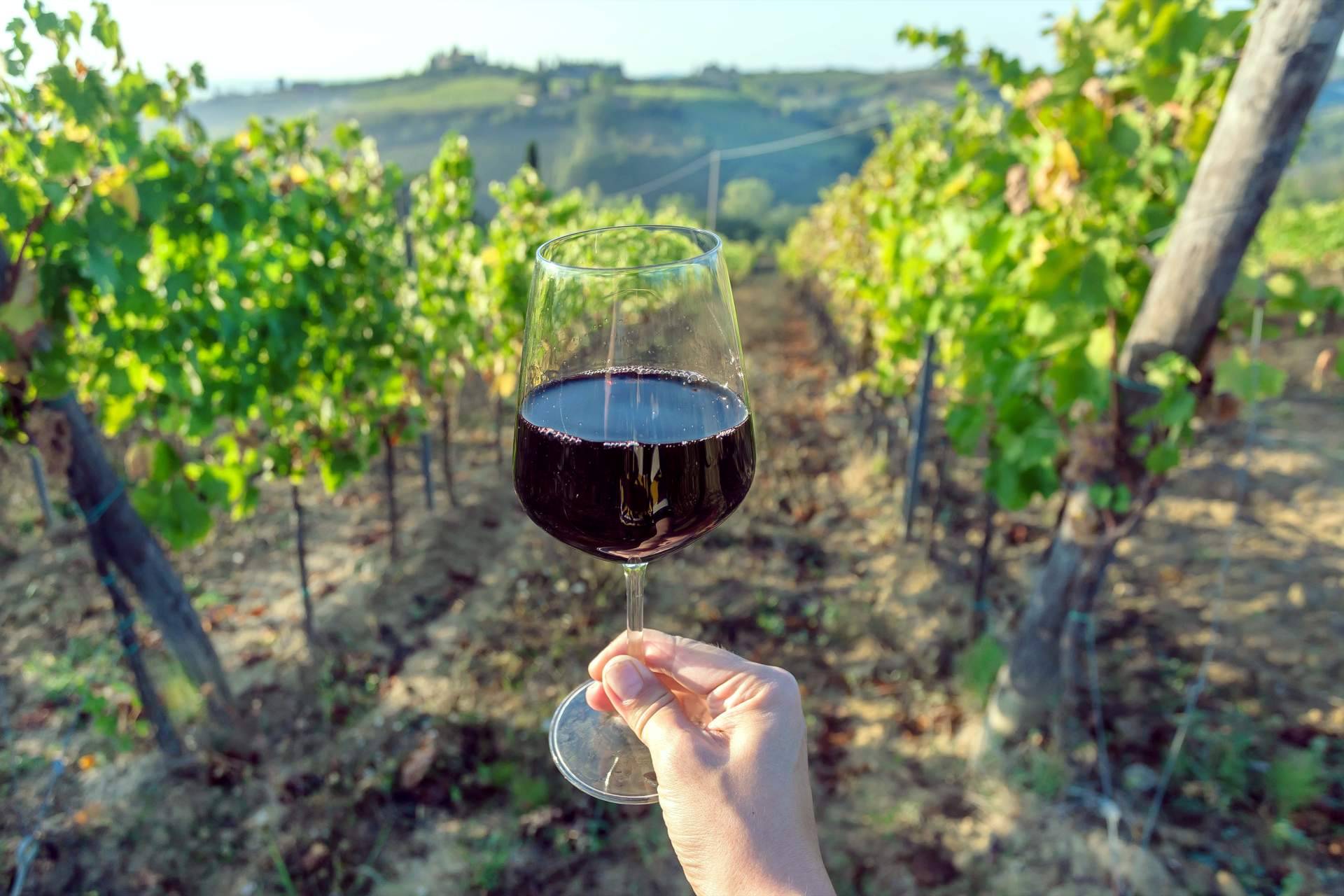 La Tintorería Vinoteca ofrece vinos ecológicos