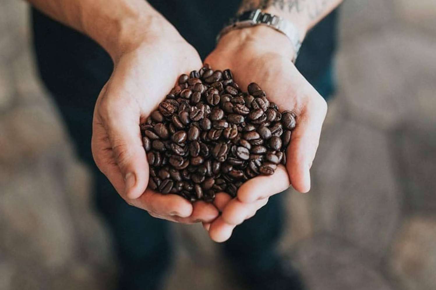 Las propiedades del café en grano