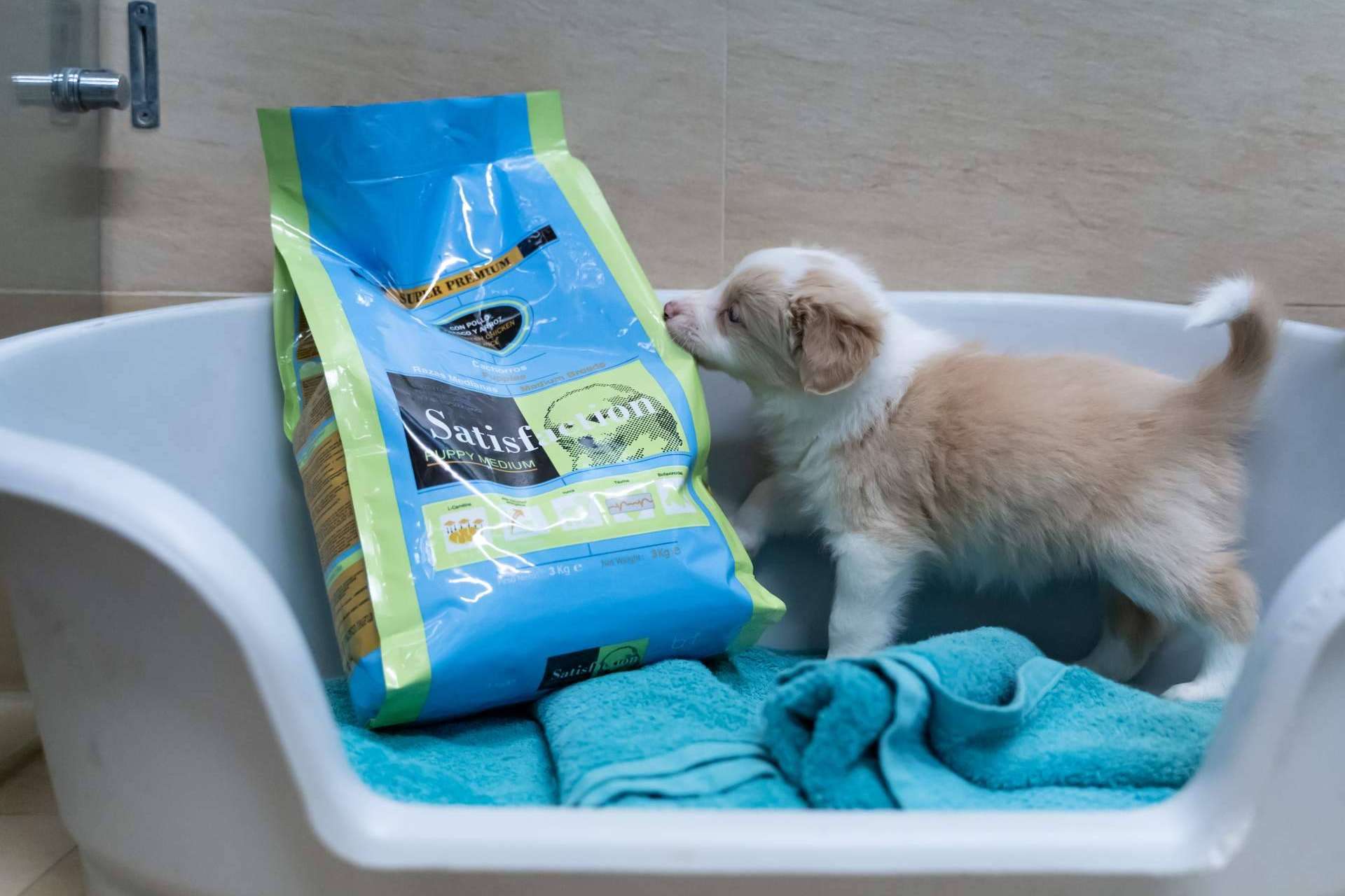 Los beneficios de la gama de pienso Satisfaction Super Premium