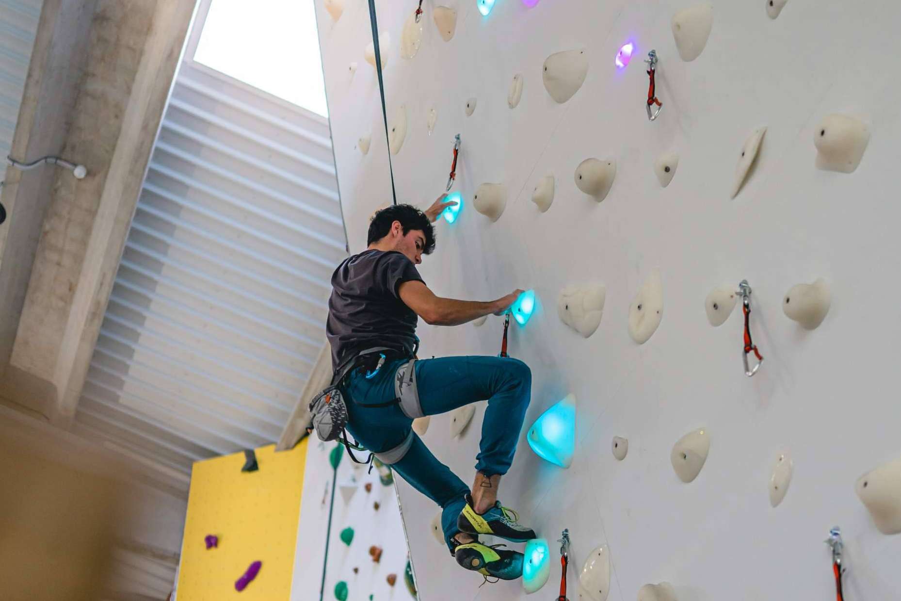 ¿Por qué elegir los sistemas de escalada Shiny Wall antes que a sus competidores?