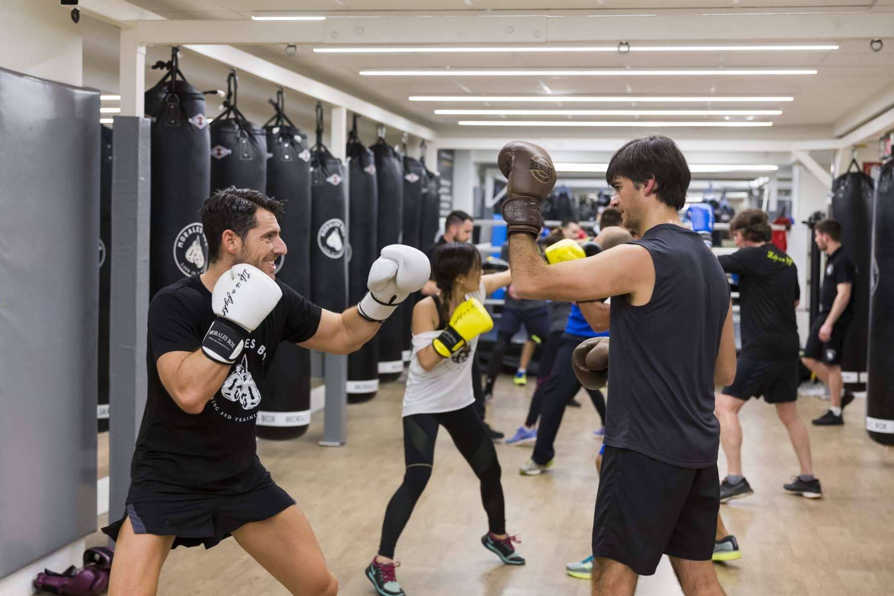 Asistir a clases de boxeo en Madrid en el gimnasio Morales Box